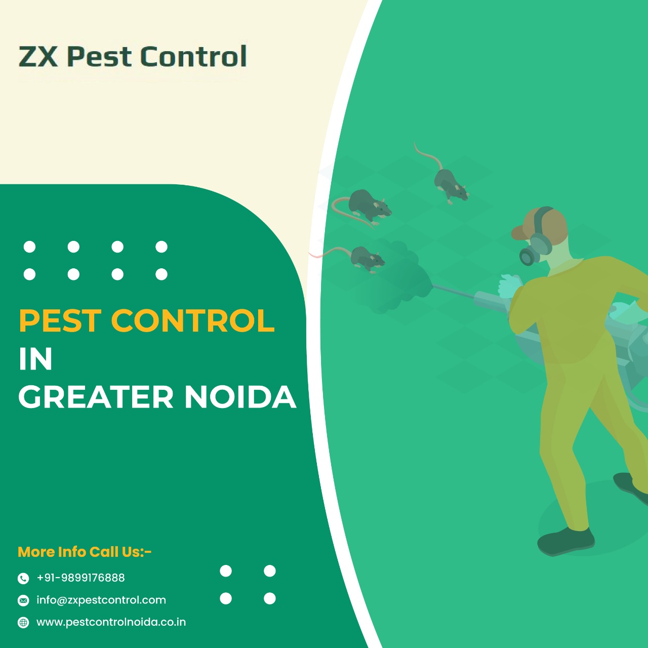 Searching For Reliable Pest Control in Greater Noida