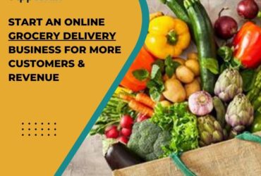 Now Is The Time To Get A Cheap Grocery Delivery Service.