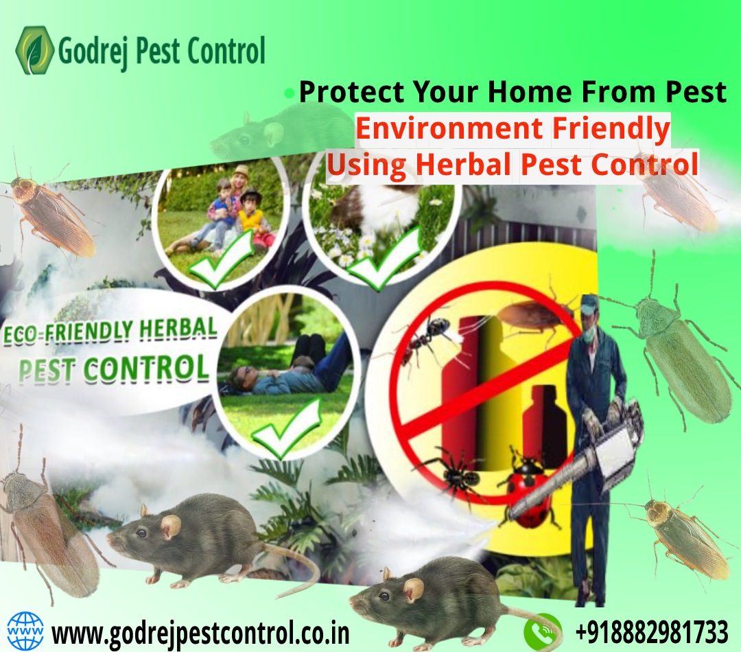 Herbal Pest Control in Noida, Delhi | Godrej Pest Control