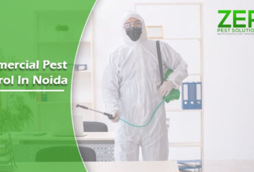 How to Start Using Commercial Pest Control in Noida?