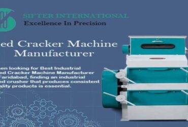 How to Choose the Right Seed Cracker Machine Manufacturer for Your Needs