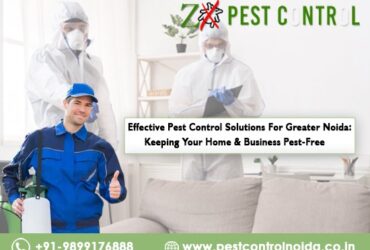 Effective Pest Control Solutions for Greater Noida: Keeping Your Home and Business Pest-Free