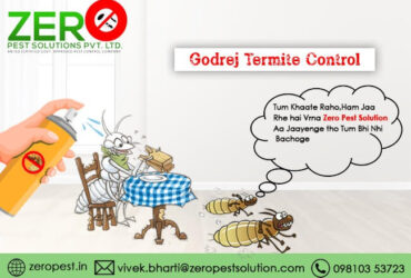 Effective Termite Treatment in Noida: Say Goodbye to Termites!