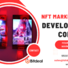 Unlock New Revenue Streams: Invest in a Game-Changing NFT Marketplace!