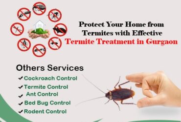 Termite Treatment in Gurgaon: Safeguarding Your Home from Silent Invaders