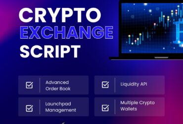Cryptocurrency Exchange Script Developer – Hivelance