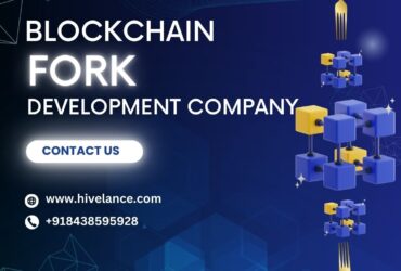 Unlock the Power of Blockchain network with Blockchain Fork Development Company!
