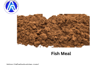Best Fish Meal Suppliers in UP – Call Now +91-9058578786