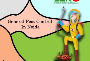Keeping Noida Pest-Free: The Ultimate Guide to General Pest Control