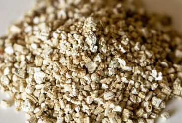 Vermiculite is a Agriculture Product and Potting Media used in horticulture