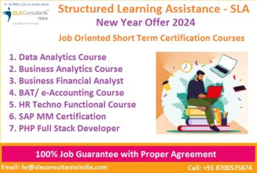 Data Analyst Course in Delhi, Paschim Vihar, Python Certification, [100% Job, Learn New Skills of '24] SLA Analytics Institute,