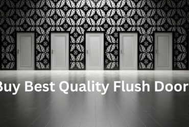 Flush Door Manufacturers