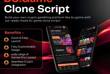 Launch Your Crypto Gaming Platform Faster with BC.Game Clone Script