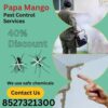 Best Services provider For termite control in delhi