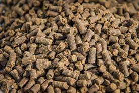 Best Meat and Bone Meal Suppliers in Uttar Pradesh | Call +91-9058578786