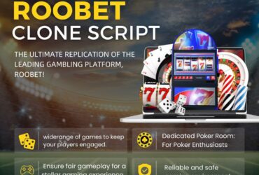 Fast Track Your Entry into Crypto Betting with Our Roobet Clone script