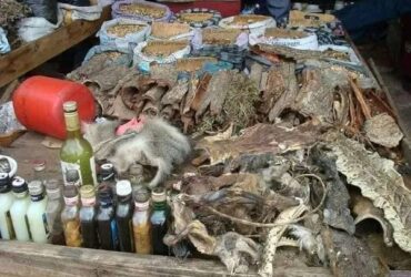 DESTROY WITCHCRAFT+27764410726 SANGOMA / INSTANT DEATH SPELL CASTER / REVENGE SPELL IN ITALY NORWAY AUSTRIA VIENNA U.A.E. CANADA, USA, FINLAND, DENMARK, NORWAY, BELGIUM, SWEDEN, FRANCE, GERMANY, NETHERLANDS, BARBADOS, MEXICO, SPAIN, SCOTLAND, ITALY,