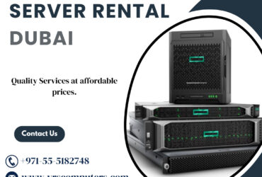 How Can Server Rental Meet Your Business Needs in Dubai?