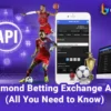 Best Diamond Betting Exchange API Provider in USA